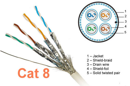 Cat 8 网路线