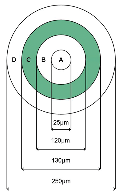 檢視光纖端面